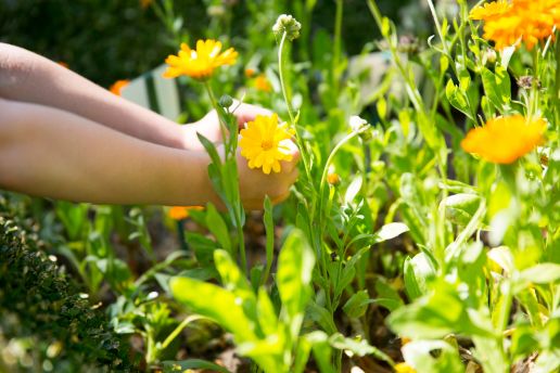 Frühjahrsputz im Garten